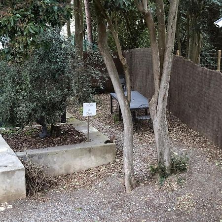 Au Vieux Lavoir Avec Parking Prive, Jardin , Climatisation, A 500 M De La Cite Carcassonne Exterior foto