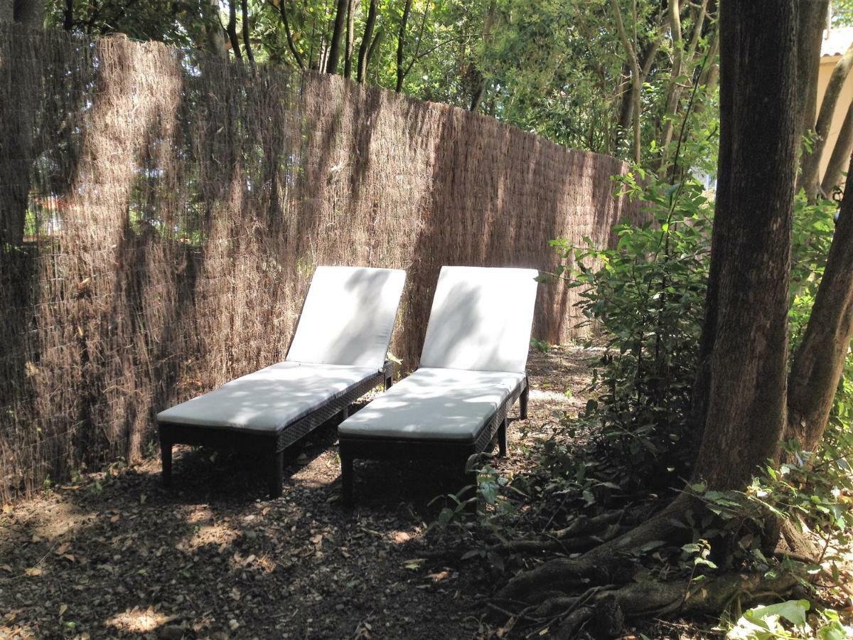 Au Vieux Lavoir Avec Parking Prive, Jardin , Climatisation, A 500 M De La Cite Carcassonne Exterior foto