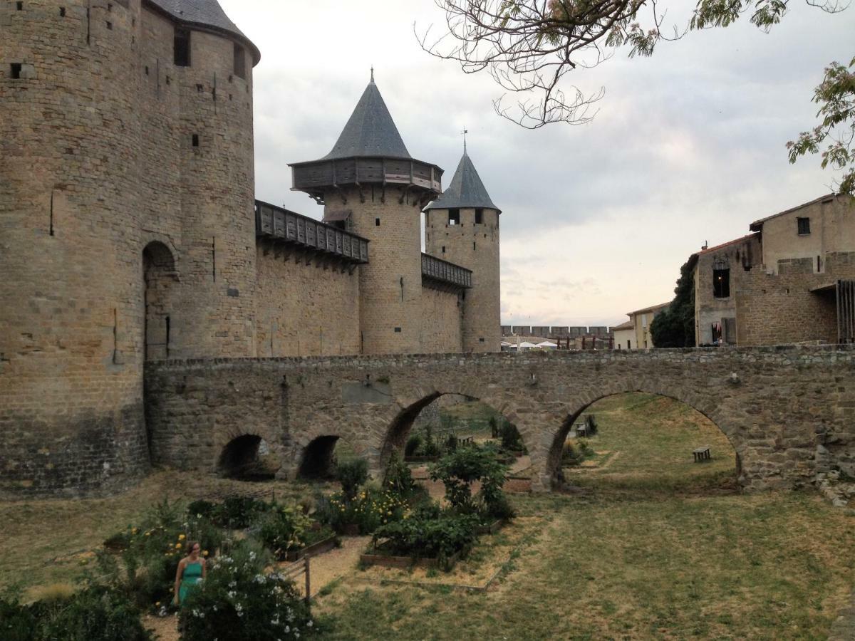 Au Vieux Lavoir Avec Parking Prive, Jardin , Climatisation, A 500 M De La Cite Carcassonne Exterior foto